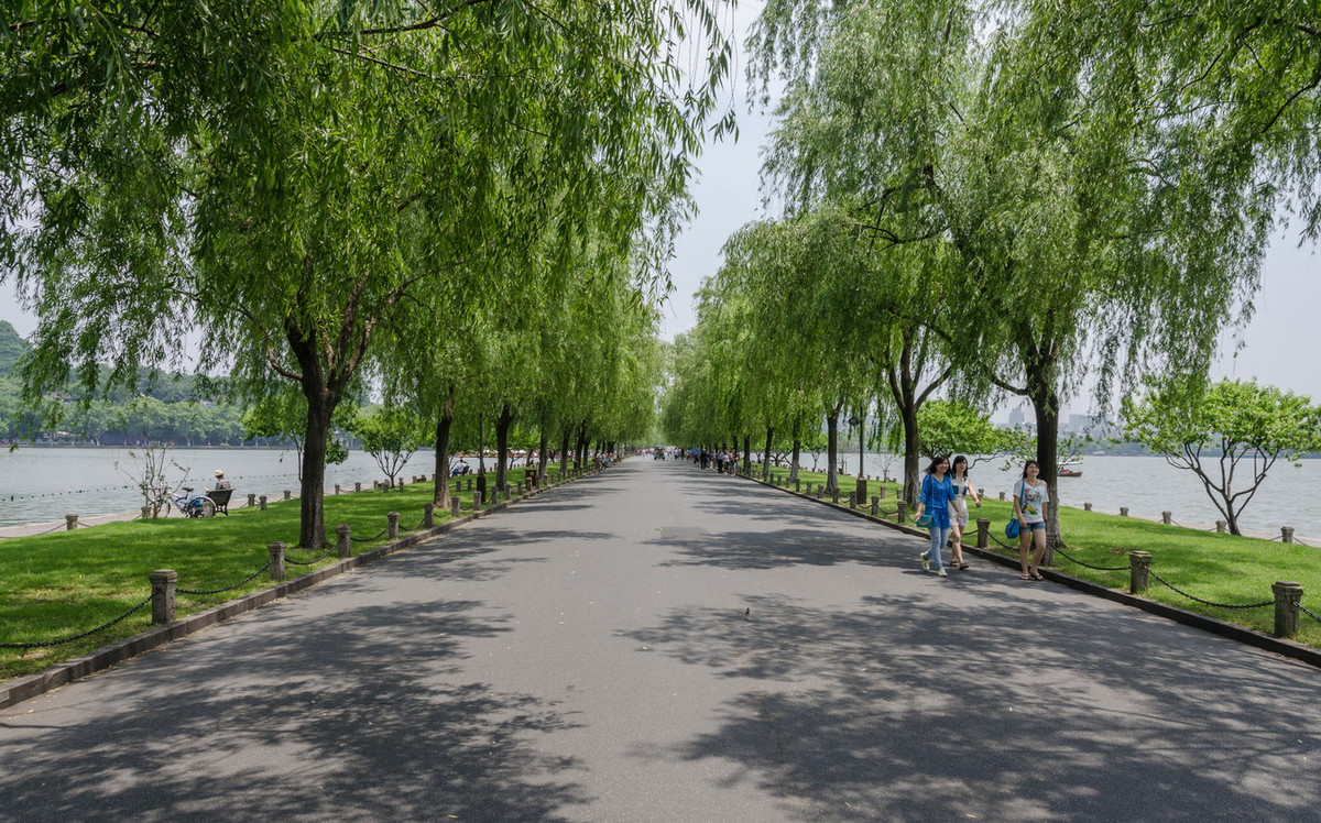 Phía trên đê Tô Đông Pha cho trồng nhiều cây liễu. Con đê này được đặt tên là đê Tô và cũng trở thành một trong những cảnh đẹp của Tây Hồ như đê Bạch. Ảnh: Wikipedia.