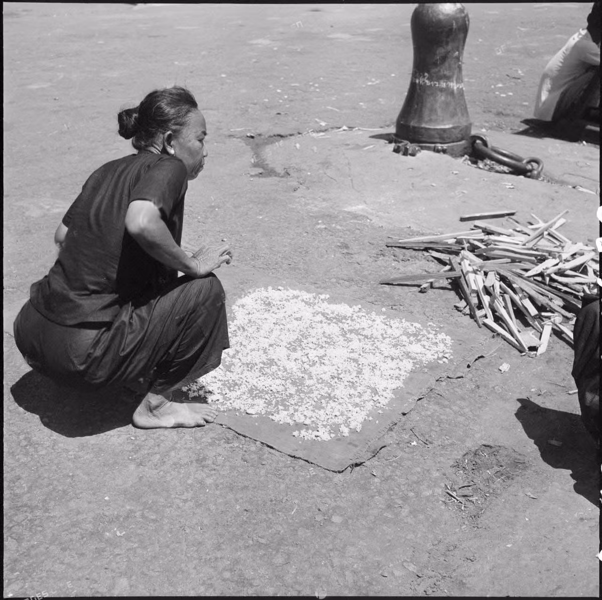 Cụ bà phơi cơm nguội trên mặt đường.