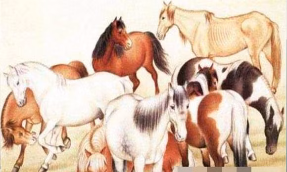 Tuổi Ngọ: Những người bạn sinh năm Ngọ sẽ gặp nhiều may mắn và tiền bạc bắt đầu từ ngày 29/10. Nguyên nhân chính là vận may tài chính và sự nghiệp của họ tiếp tục được cải thiện, hiện tượng bận rộn và không hiệu quả có thể chấm dứt.