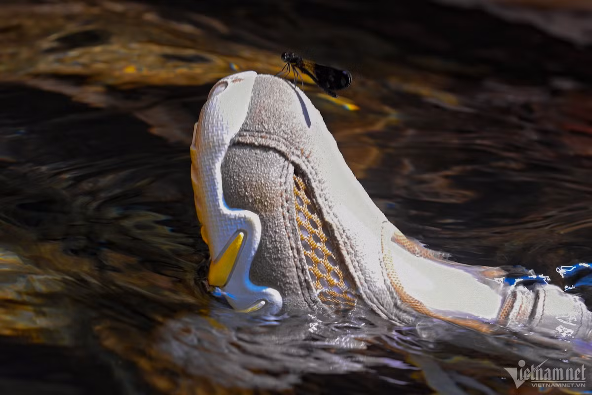 Hanh trinh leo deo, vuot suoi trekking Cua Tu-Hinh-4