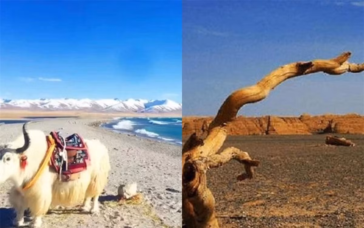 Thanh pho duy nhat o Trung Quoc khong the trong duoc cay xanh