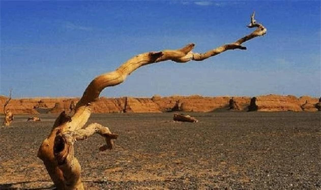 Thanh pho duy nhat o Trung Quoc khong the trong duoc cay xanh-Hinh-4