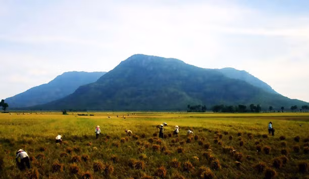 Phan Xich Long va to chuc Thien Dia Hoi o Nam Ky tung gay tieng vang