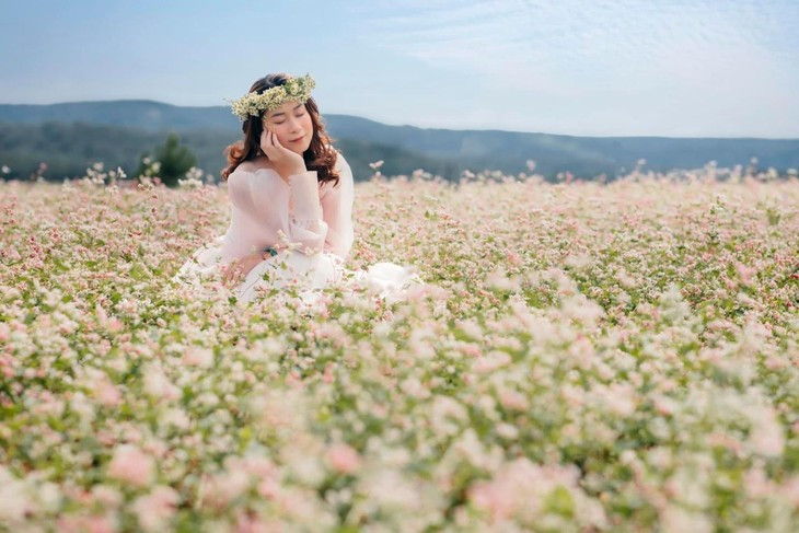 Ngam hoa tam giac mach o noi nao… dep nhat Viet Nam-Hinh-5