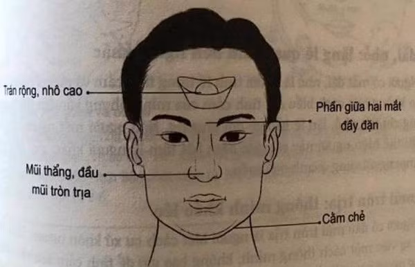 Tướng tai to mặt lớn: Theo nhân tướng học, người đàn ông tai to mặt lớn sẽ cho thấy họ có sức sáng tạo đặc biệt và có tướng thành công trên con đường công danh sự nghiệp. Họ là người rất nhiều bản lĩnh. 