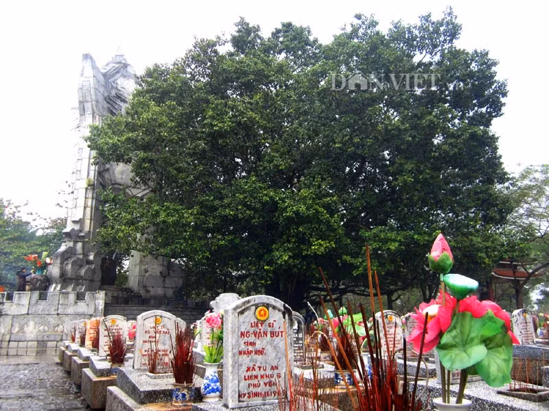  Cây to trồng ở nghĩa trang: Ở nghĩa trang, bạn có thể dọn dẹp cỏ khu mộ phần nhà mình nhưng đừng vô cớ chặt cây lớn như cây tùng, cây bách, cây thông... Khi chôn cất người thân, người xưa thường trồng cây bên cạnh mộ như thông, bách, đại, hoa gạo... 