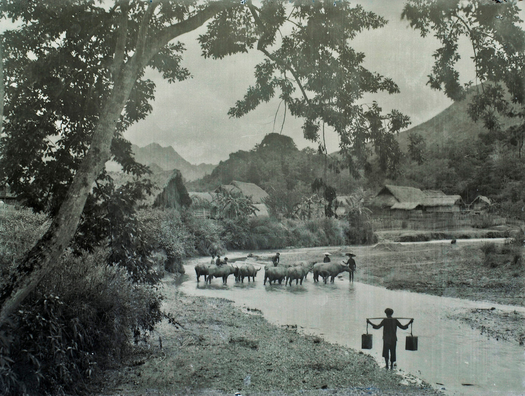 Khung cảnh gần một bản của người H'Mông ở Bắc Hà, Lào Cai thập niên 1920.