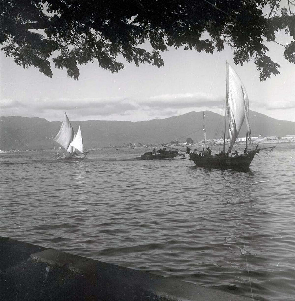 Những con thuyền buồm nhỏ ở khu vực cảng Đà Nẵng.