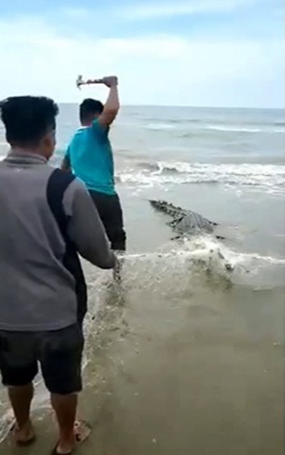 Ca sau mac vao luoi danh ca, ngu dan dung bua dap tan nhan