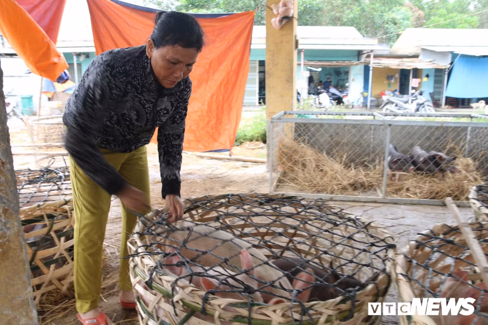 Nuoc mat o ngoi cho 'phu nu bong heo' doc nhat vo nhi Viet Nam