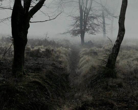 Câu chuyện bắt đầu khi John Bell, người đàn ông trụ cột của gia đình cầm súng bắn một con vật lạ. Ông không thể xác định đó là gì và nó đã biến mất trong rừng.