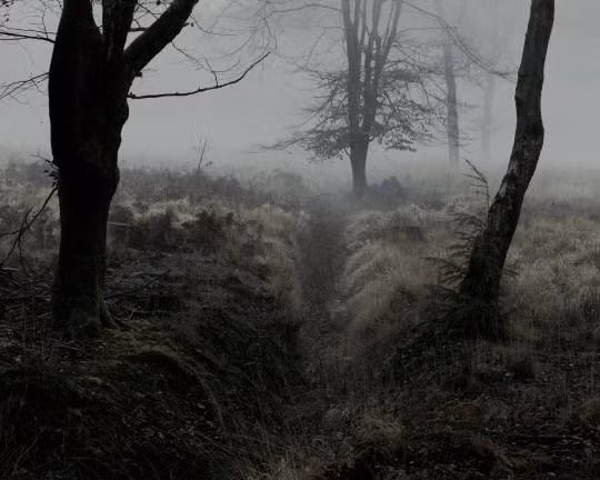 Câu chuyện bắt đầu khi John Bell, người đàn ông trụ cột của gia đình cầm súng bắn một con vật lạ. Ông không thể xác định đó là gì và nó đã biến mất trong rừng.