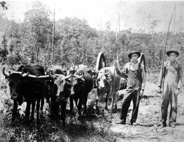 Bối cảnh của câu chuyện là một trang trại ở bang Tennessee vào đầu thế kỷ 19. Khi đó tiểu bang này còn rất hoang dã, và khu trang trại được bao quanh bởi những khu rừng rộng lớn.