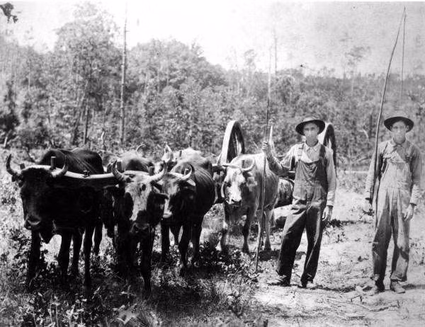 Bối cảnh của câu chuyện là một trang trại ở bang Tennessee vào đầu thế kỷ 19. Khi đó tiểu bang này còn rất hoang dã, và khu trang trại được bao quanh bởi những khu rừng rộng lớn.