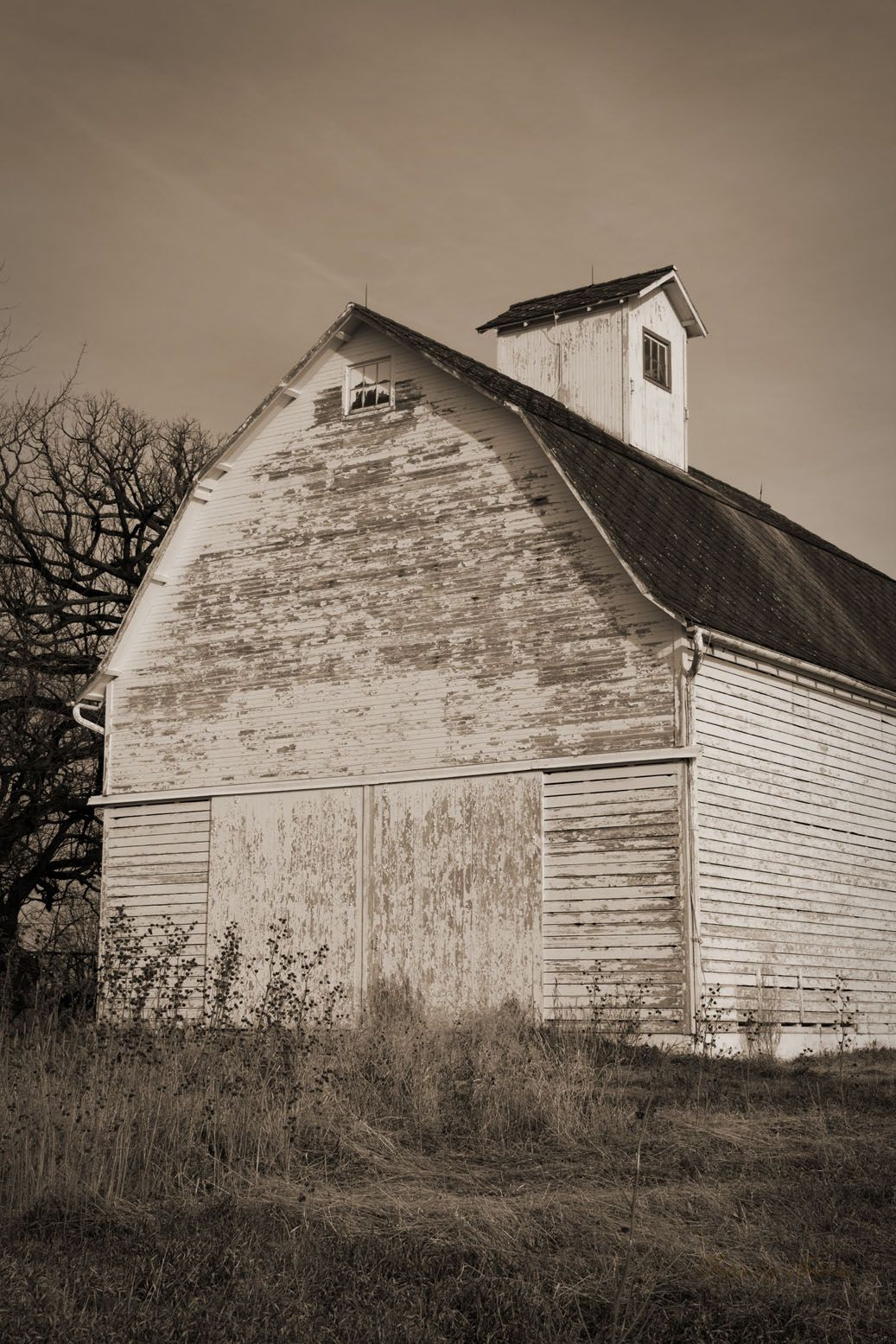 Ngay sau đó, những tiếng động bất thường và hiện tượng kỳ lạ liên tục xuất hiện trên toàn trang trại.