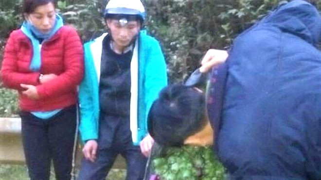 Cap vo chong mua hon 20 kg cay thuoc phien lam qua