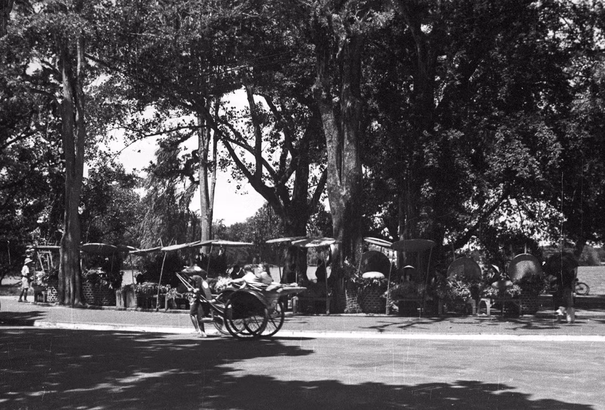 Toàn cảnh dãy cửa hàng hoa ở bờ Hồ Gươm năm 1940.