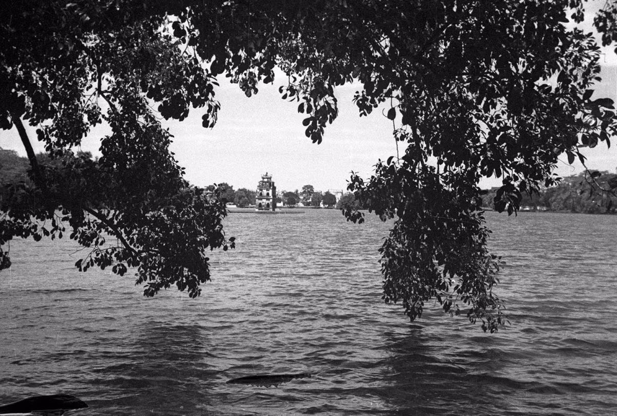 Những hàng cây soi bóng xuống mặt nước hồ.