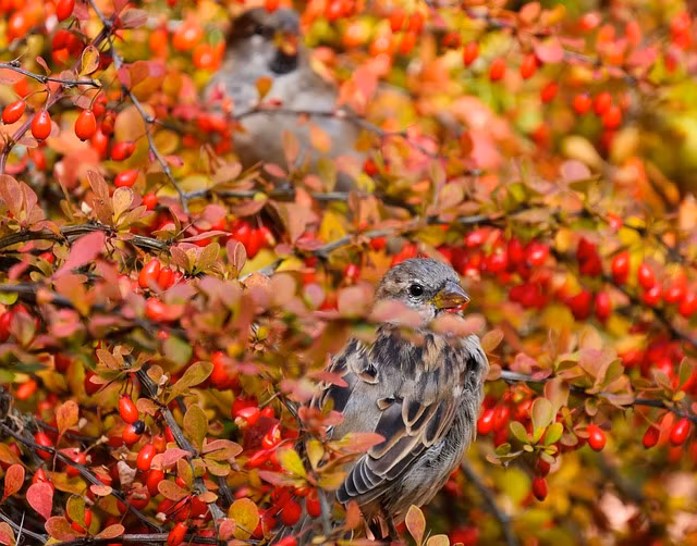 Long tot duoc den dap, 3 con giap vung vang, tien bac khong thieu-Hinh-4