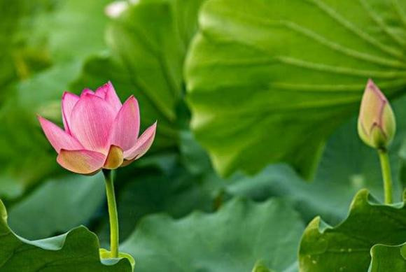 Dung bao gio noi bon dieu nay voi ban be