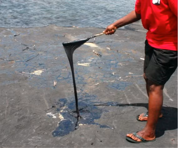 Hồ Pitch (Trinidad) là “kho” nhựa đường lỏng tự nhiên lớn nhất thế giới. Nhựa đường ở đây đã được xuất khẩu đến nhiều nơi trên thế giới.