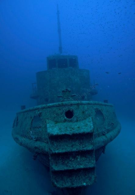 Rozi từng là một tàu kéo trước khi bị đánh đắm vào năm 1992 tại một khu vực lặn biển nổi tiếng ở Cirkewwa, đảo quốc Malta. Ngày nay con tàu là nơi trú ẩn của nhiều sinh vật biển như sứa và lươn biển. Du khách có thể ngắm xác tàu này qua một chiếc thuyền đáy kính.