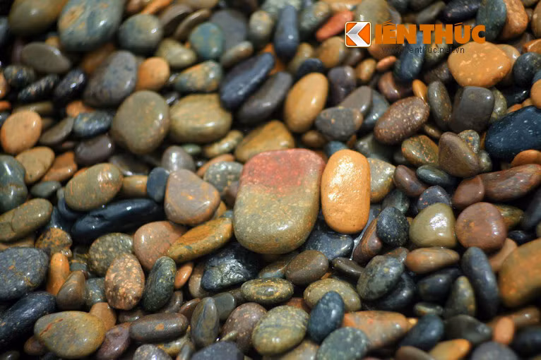 Đúng như tên gọi bãi đá bảy màu, đá có rất nhiều màu sắc như đỏ, nâu, vàng, tím, lam, xám, trắng…