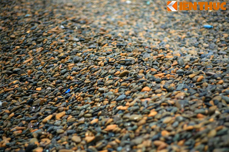 Bãi đá này có chiều dài khoảng 0,9km, chiều ngang khoảng từ 200m đến 300m.