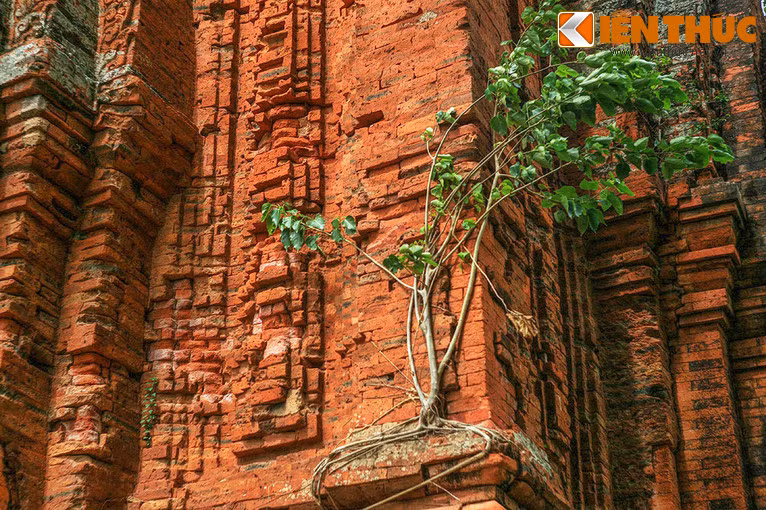 Trong nhiều thập niên, tháp Đôi đã rơi vào cảnh hoang phế và hư hại nặng nề. Đến năm 1990 tháp mới được các chuyên gia trùng tu lại và có hiện trạng như ngày nay.