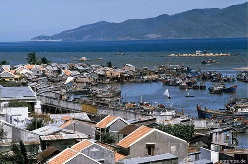 Vùng biển Nha Trang được đánh giá là một trong những nơi nhiều cá nhất Việt Nam.