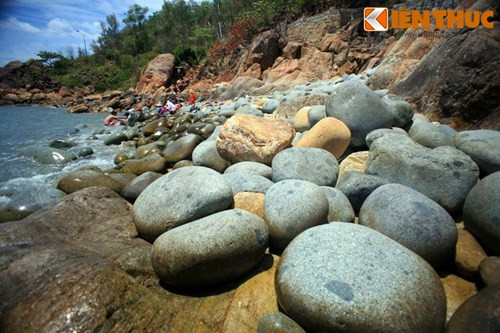 Đám "trứng khủng long" này có kích cỡ rất lớn, tới hàng chục kg.