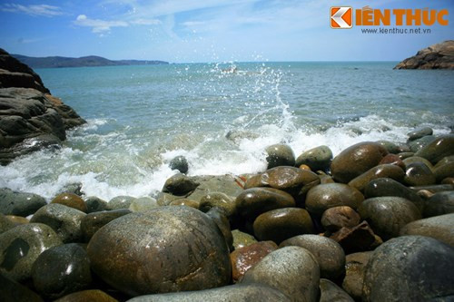 Cá biệt, có những "quả trứng" nặng trên 100kg, sức một người lớn không thể bê nổi.