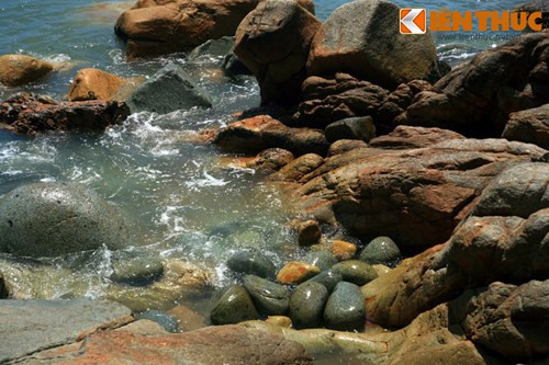 Quá trình kiến tạo này có thể đã bắt đầu từ thời kỳ của... loài khủng long.