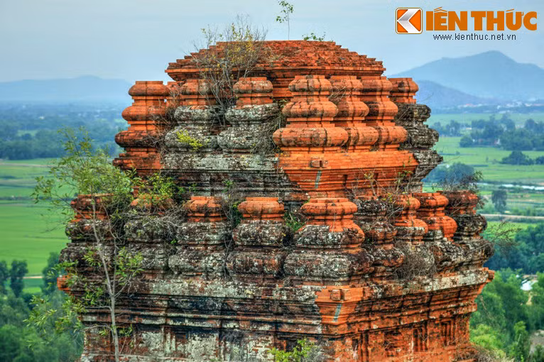 Mái tháp Bia có những hình quả bầu lọ trên các tầng với các khối cong nhịp nhàng, làm mềm đi những đường nét và hình khối cứng cỏi thường thấy ở các tòa tháp Chăm.