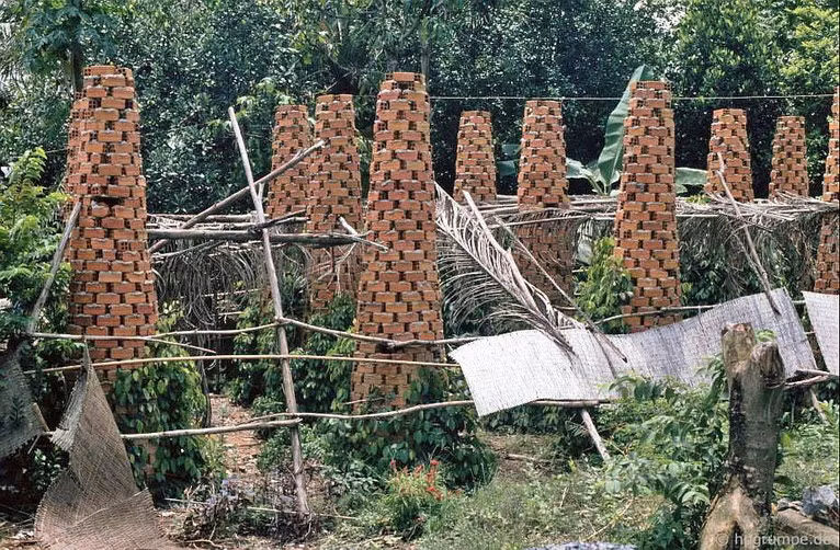 Một khu vườn trồng hồ tiêu với những giàn cây làm bằng gạch trên đường đến địa đạo Củ Chi. Ảnh: Hans-Peter Grumpe.
