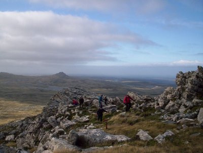 Thảm thực vật trên đảo khá nghèo nàn, hầu như không thể bắt gặp cây gỗ lớn mọc trong tự nhiên.