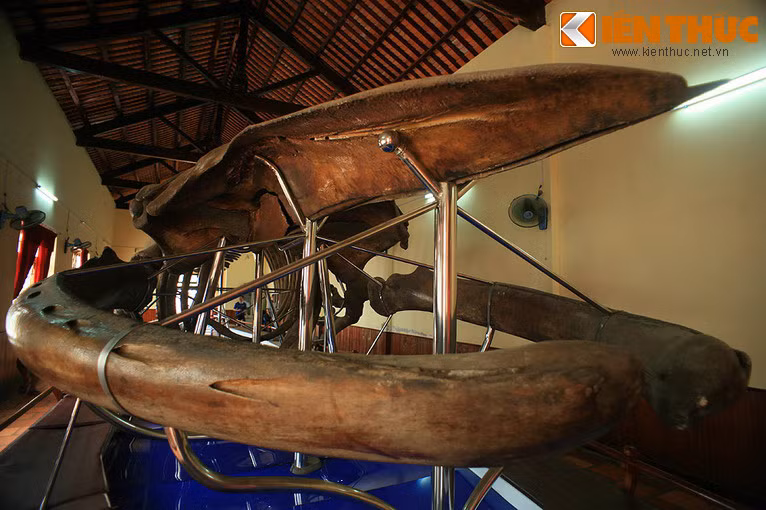 Truyền thuyết dân gian kể lại rằng, sau khi xây xong dinh vạn Thủy Tú có một Cá Ông rất lớn trô dạt vào bờ phía trước dinh. Lúc này, bở biển chỉ cách dinh không đầy 50m.