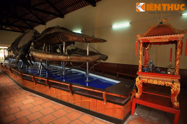 Dinh vạn là nơi lưu giữ nhiều di sản văn hóa liên quan đến nghề biển, trong đó nổi bật nhất là một bộ xương cá voi khổng lồ có niên đại 2 thế kỷ. Bộ xương này gắn liền với lịch sử ra đời của dinh.