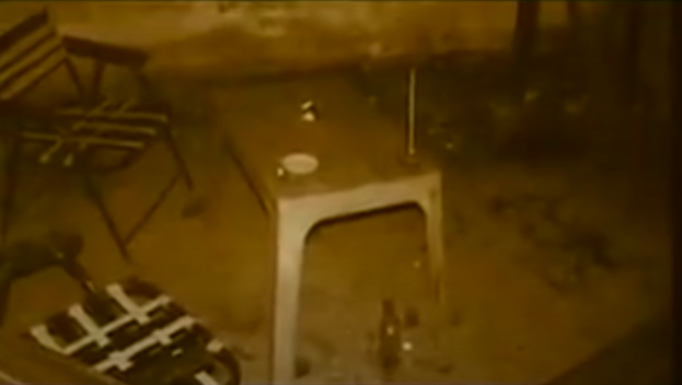 Ngày 21/9/2010, khi đến quán cà phê Tình Quê (xã Láng Dài, huyện Đất Đỏ), thấy chị Huỳnh Thị Tú Loan ( 19 tuổi , chủ quán), ở nhà một mình, Hiếu đã nảy sinh ý đồ xấu. Hắn bóp cổ, dùng dao đâm chị tới chết rồi hãm hiếp nạn nhân.