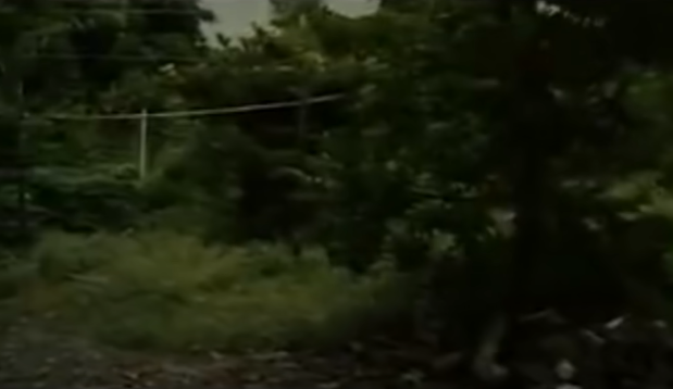 Tổ chức tìm kiếm, mọi người phát hiện chị L. nằm chết trong khu đất trống sau nhà. Trên người L. có vết dao đâm và vết siết cổ. Kẻ sát nhân còn thực hiện hành vi đồi bại và cướp điện thoại di động cùng một số nữ trang của nạn nhân.