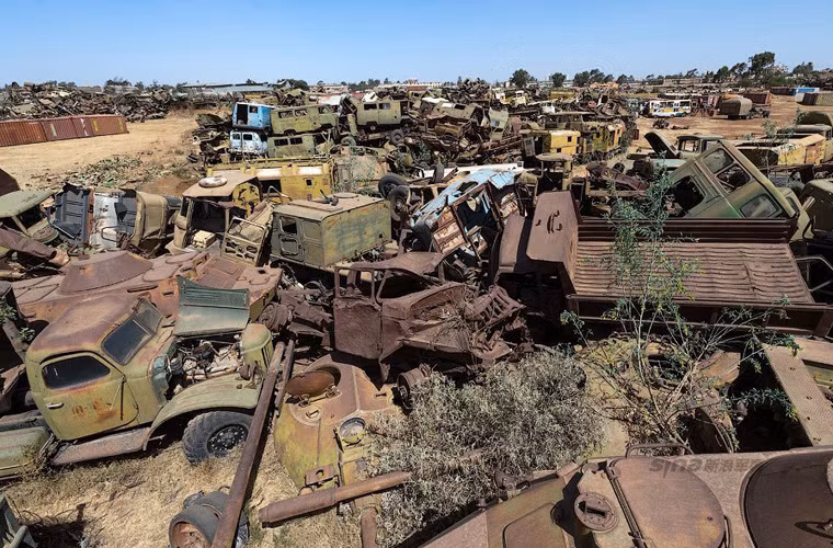 Không rõ chúng bắt đầu được đưa tới đây từ khi nào.