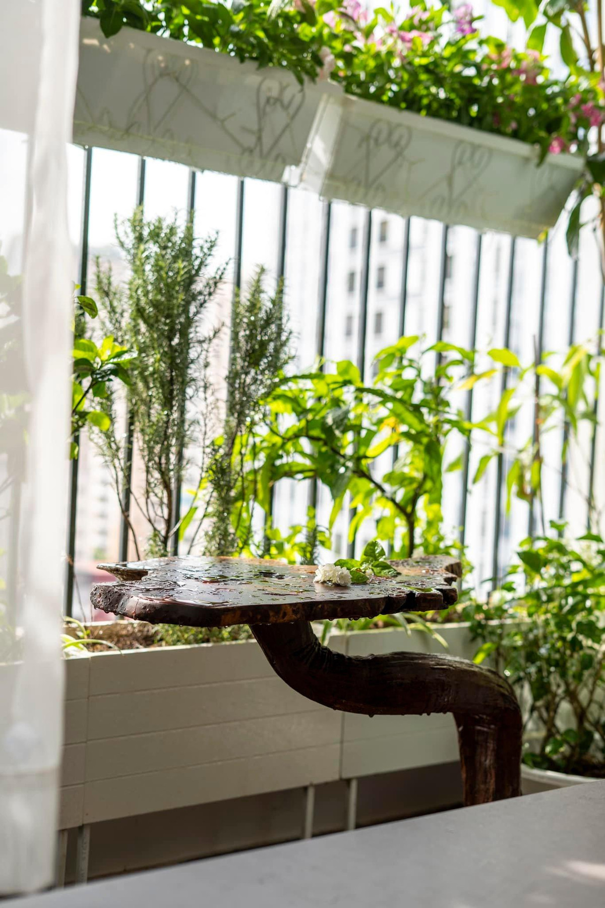 Can ho ‘1 cham’, dieu khien thiet bi thong minh mang phong cach Nhat Ban-Hinh-8