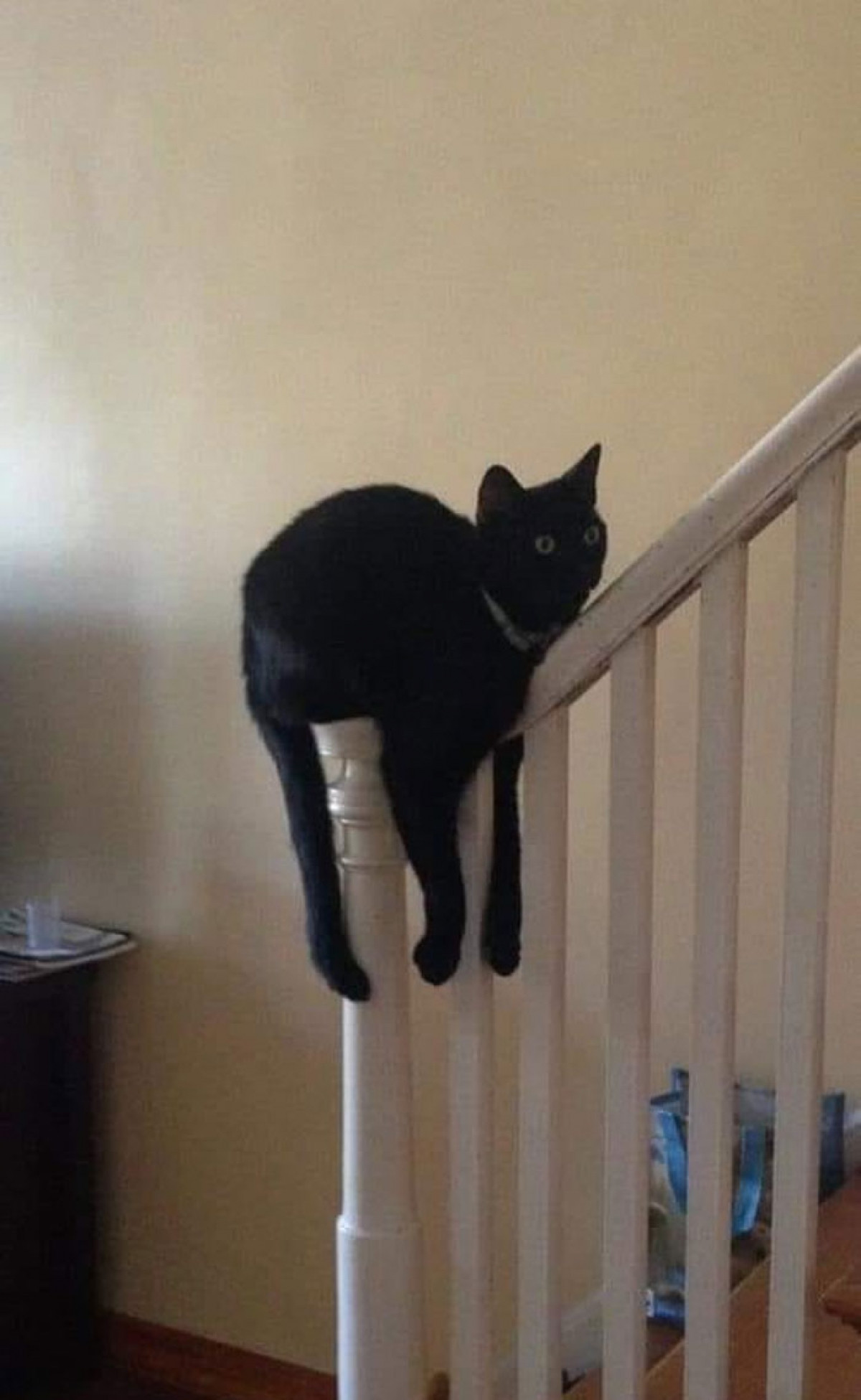 Mệt lả sau khi chơi cầu trượt.