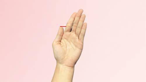  Ngón tay cái dài bằng đầu đốt thứ nhất của ngón trỏ: Chủ nhân của nó là người vô cùng mạnh mẽ, giàu ý chí và nghị lực. Họ cũng rất chín chắn, luôn cân nhắc, suy tính kỹ càng trước sau khi đưa ra bất cứ quyết định nào. Người này dễ thành công trong sự nghiệp và không phải lo vấn đề tiền bạc vật chất.