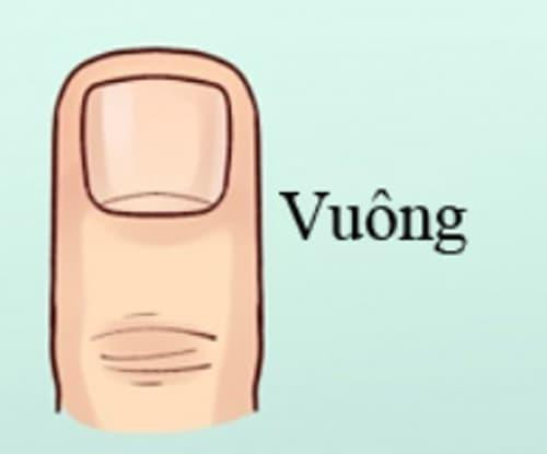 Ngón tay vuông và phẳng: Đây là một người cẩn thận, tỉ mỉ, luôn thích mọi thứ rõ ràng và không thích sự mơ hồ. Làm việc gì cũng phải chắc chắn từng ly từng tí, nếu không sẽ không bao giờ yên tâm. Tài vận của phụ nữ có ngón tay vuông, phẳng cực lớn, chắc chắn sẽ giàu sau năm 30 tuổi nhưng tình duyên hơi lận đận. Sinh con khá muộn.