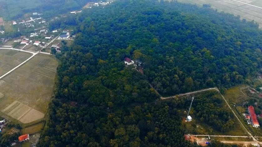 Bi an rung co thu giua khu dan cu, chat 1 phai trong 10