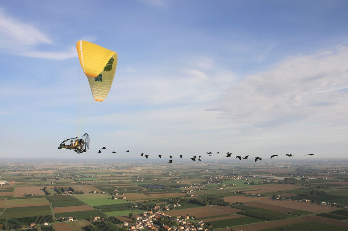 Lấy cảm hứng từ bộ phim năm 1996 "Fly Away Home", trong đó một thiếu niên dẫn đầu một đàn ngỗng di cư trên một chiếc tàu lượn, Fritz đã nghĩ ra ý tưởng đích thân hướng dẫn đàn cò quăm di cư theo một chiếc máy bay siêu nhẹ, bay từ Đức đến Ý. Trong bức ảnh này, một nhóm cò quăm bay theo tàu lượn của Waldrappteam trong quá trình di cư của chúng.