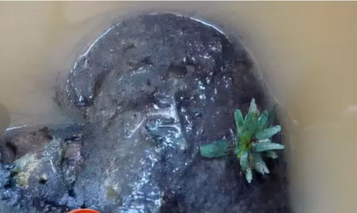 Pha da phat hien mo co 46 quan tai phat sang, giong het nhau-Hinh-3