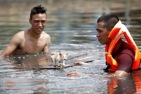 Chú mèo trong phim Vừa đi vừa khóc sau đó đã chết vì cảm lạnh do phải "diễn" dưới nước nhưng lại không được đoàn phim chăm sóc cẩn thận.