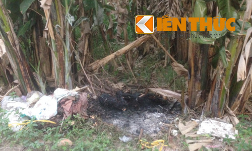 3. Kinh hoàng xác phụ nữ quấn trong chăn bị thiêu giữa TP HCM. Khoảng 15h ngày 12/11, người dân sống tại 1 con hẻm giữa 2 tuyến đường 160 và 102 (phường Tân Nhơn Phú A, Quận 9, TP HCM) ngửi thấy mùi khét giống mùi thịt cháy bốc lên. Khi người dân chạy đi kiểm tra thì kinh hoàng phát hiện một thi thể người vẫn còn loang máu quấn trong chăn bông đang bốc cháy ngùn ngụt giữa bụi chuối tại con hẻm này.